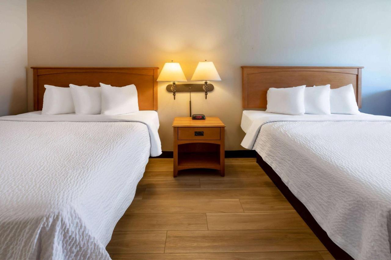 Days Inn By Wyndham Birch Run Exteriér fotografie